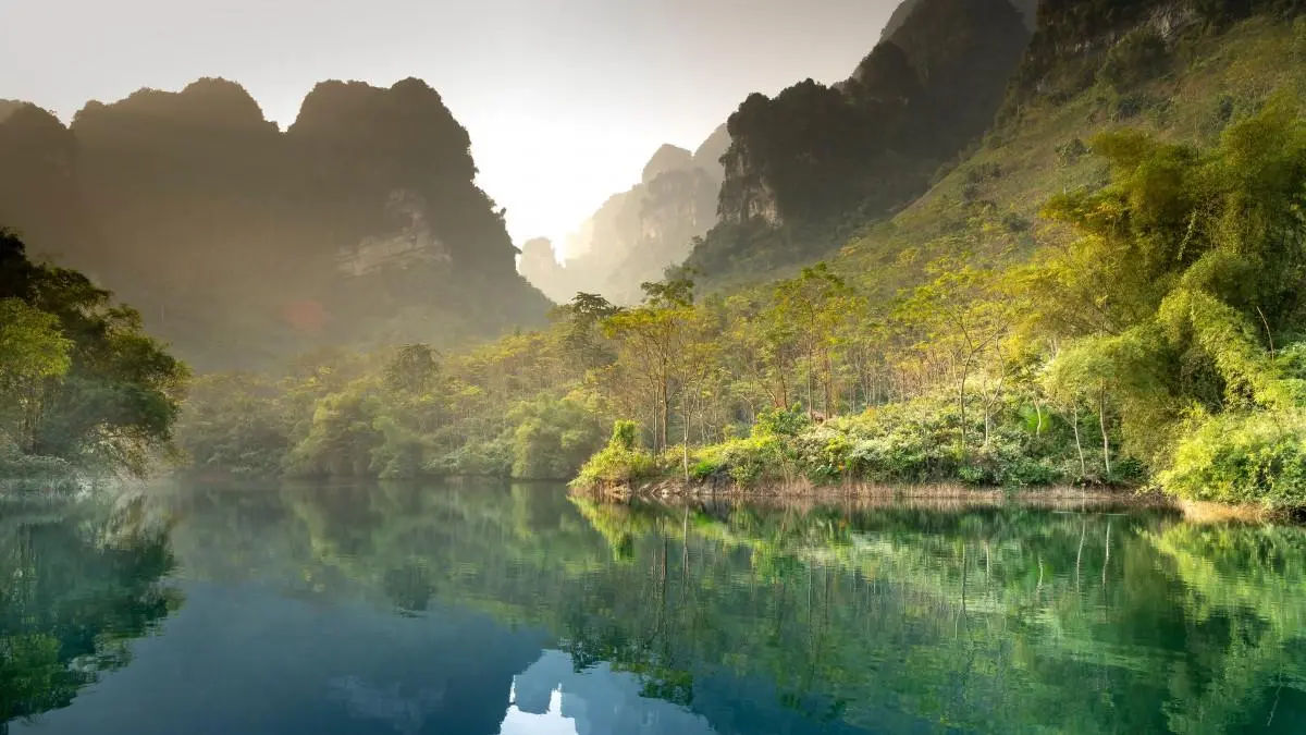 智能化绿色高性能