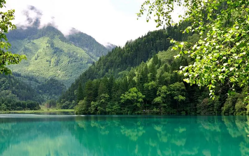 智能化智慧